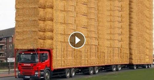 World Amazing Hay Bale Handling Modern Agriculture Equipment Mega Machines Tractor, Harvester, Truck