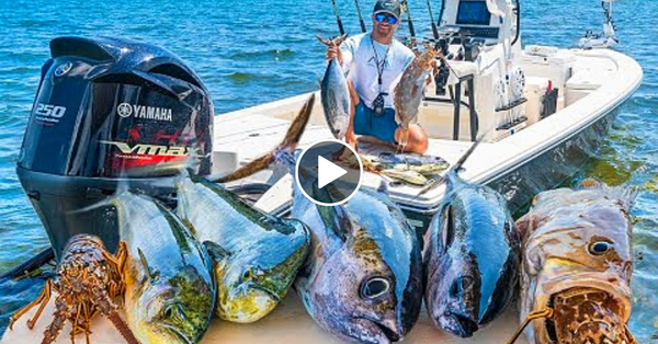 Epic Islamorada Fishing Frenzy! – Lobster, Mahi Mahi, Tuna, Grouper [Catch Clean Cook]