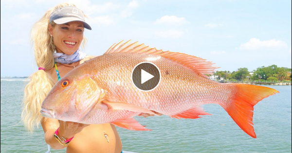 Deep Sea GIANT MUTTON SNAPPER Catch Clean & Cook! (WIN A FISHING TRIP WITH ME!)