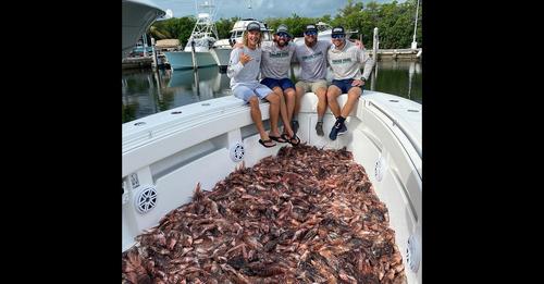 Spearfishing Team Removes Record 564 Invasive Lionfish During 2-Day Derby