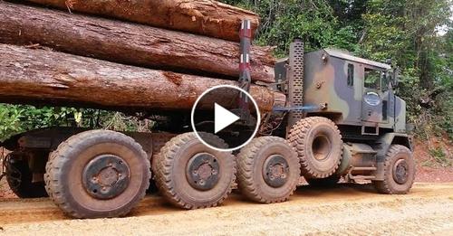 Extreme Heavy Logging Truck Wood Operator Skills Fails And Win Climbing the Slippery Mountain