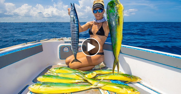 Would YOU Keep All These Fish? Am I GREEDY? Offshore Mahi Mahi Catch & Cook