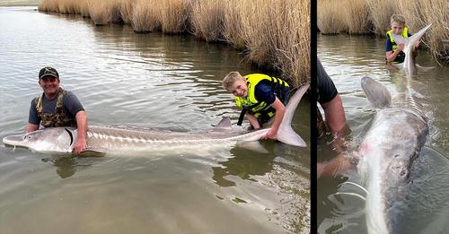 “An Absolute Giant!” 12-Year-Old Catches 9-Foot, 11-Inch Sturgeon in Idaho