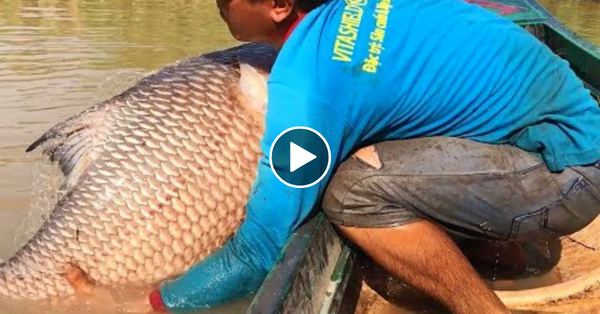 Top 4 Cast Net Fishing – Fisherman vs. River Monsters