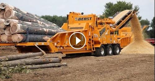 Amazing Wood Chipper Machine Working Skill, Extreme Fast Tree Shredder Easy