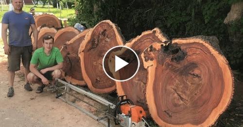 Logs to Lumber: 200 YEAR OLD TREE. Alaskan Chainsaw Milling