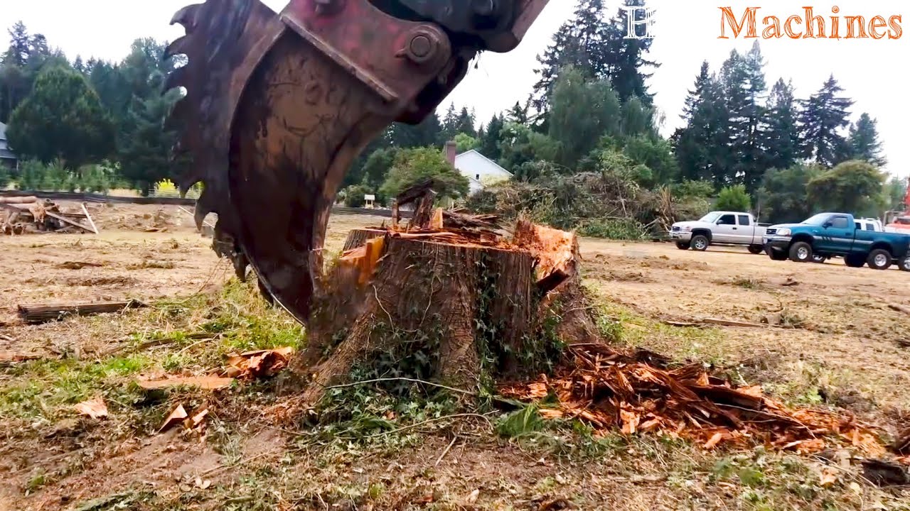 Removing a Tree Stump with an Excavator | Excavator Stump Shear