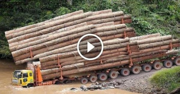 10 Extreme Dangerous Big Logging Wood Truck Driving Skill