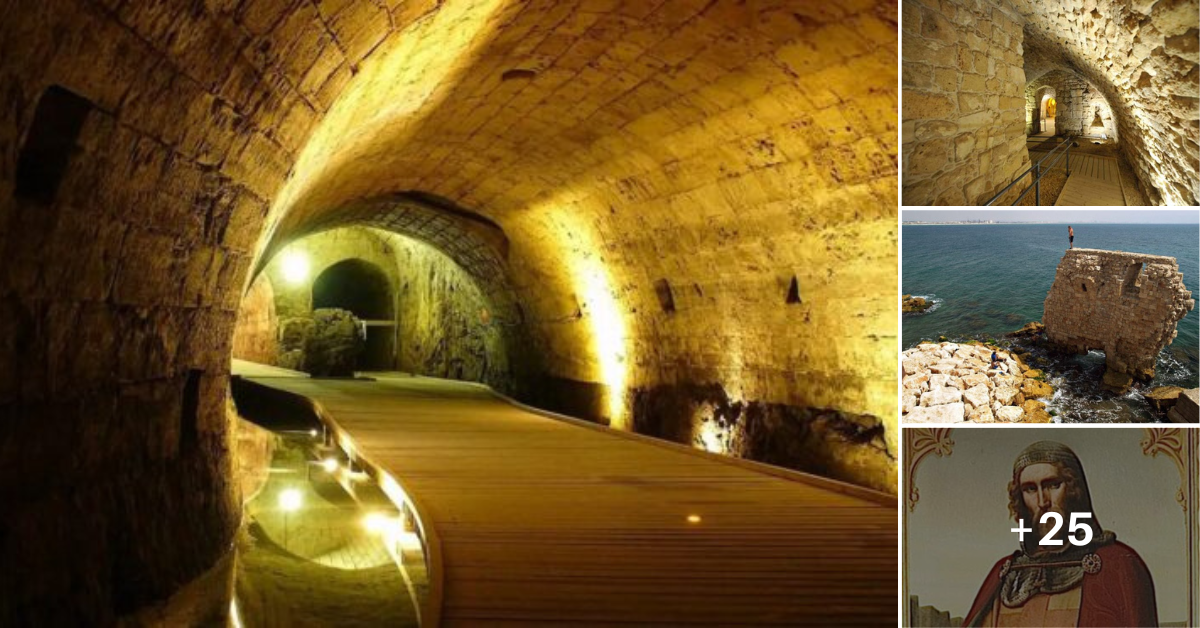 A Knights Teмplar’s secret tunnel has Ƅeen hidden for 700 years