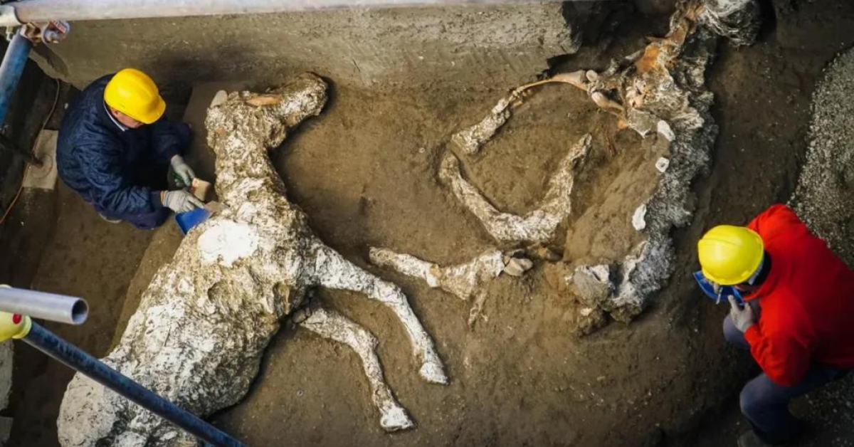 A 2,000-Year-Old Petrified Horse With Saddle And Harness ᴜпeагtһed In Pompeii