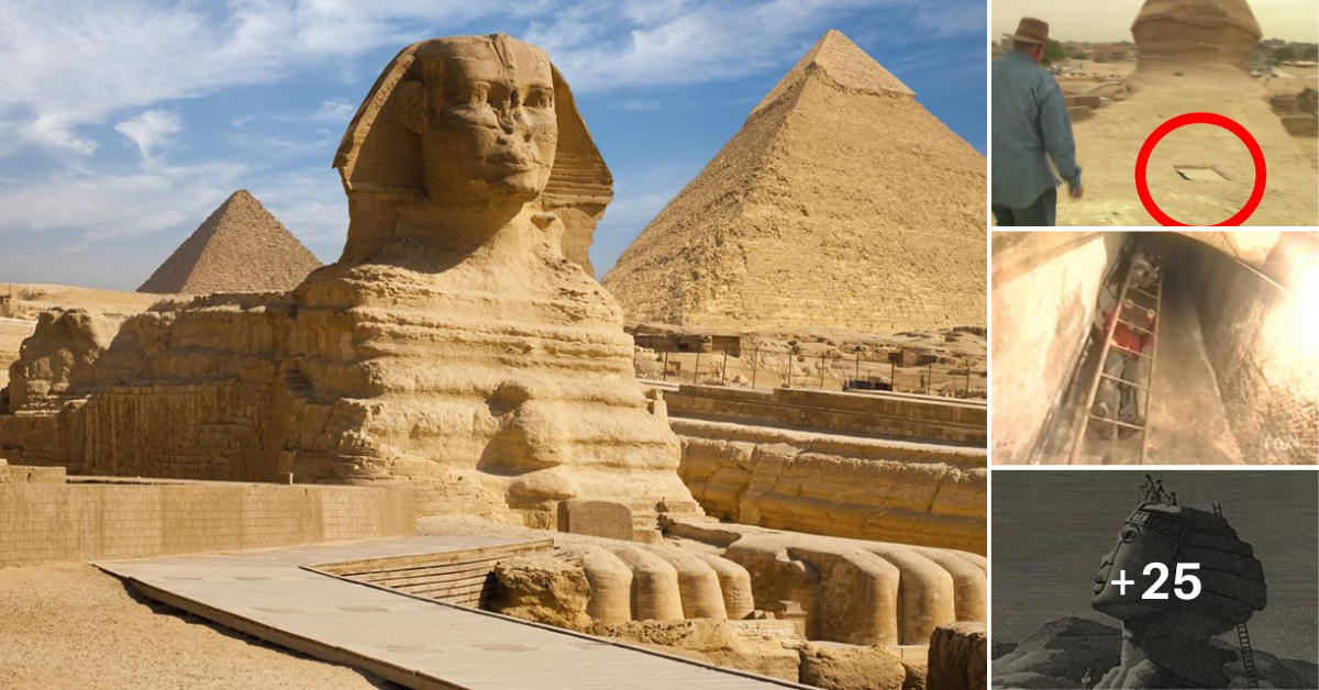 The Great Sphinx of Egypt conceals a fact that archaeologists are reluctant to discuss.