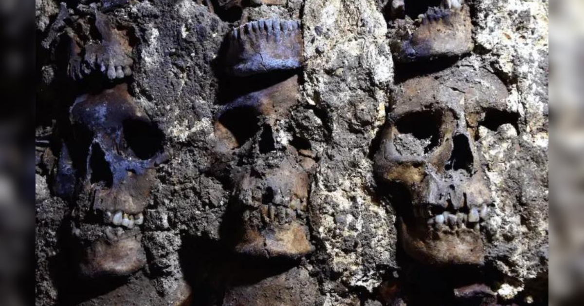 Skull Island: Archaeologists Discover Over 100 Skulls At Aztec Site In Mexico City